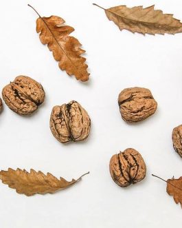 Hunza Walnuts with shell, Akhrot with Shell
