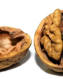 Walnuts, Pure Walnuts without Shell