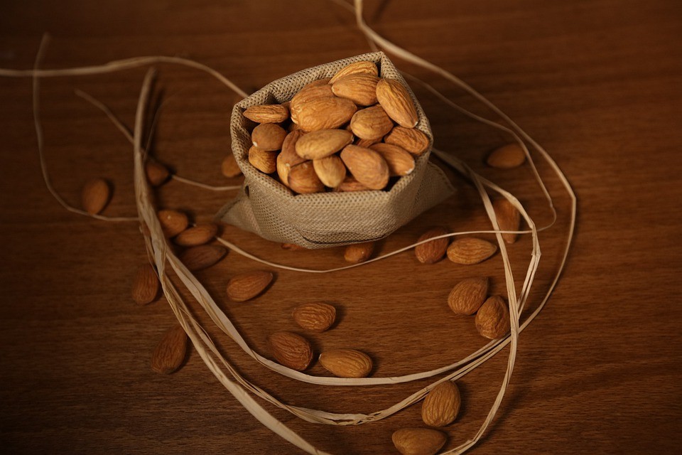 You are currently viewing Apricot Kernel Health benefits and cure to many diseases