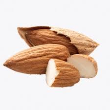 Kaghazi Almond with shell Gilgit-Baltistan