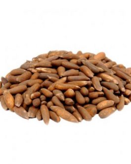 Chilgoza Export Quality Roasted, Roasted Pine Nuts (Bannu)